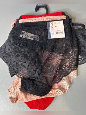 Joyspun Cheeky Lace Bikini Panty 3-Pack - Black, Blush & Red xxxl 22 plus size